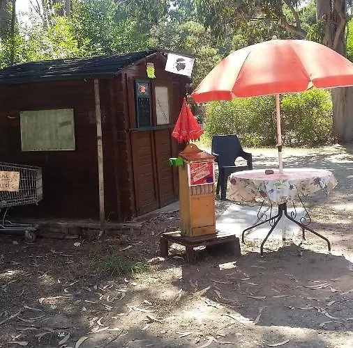 Europa Kamp alanı *