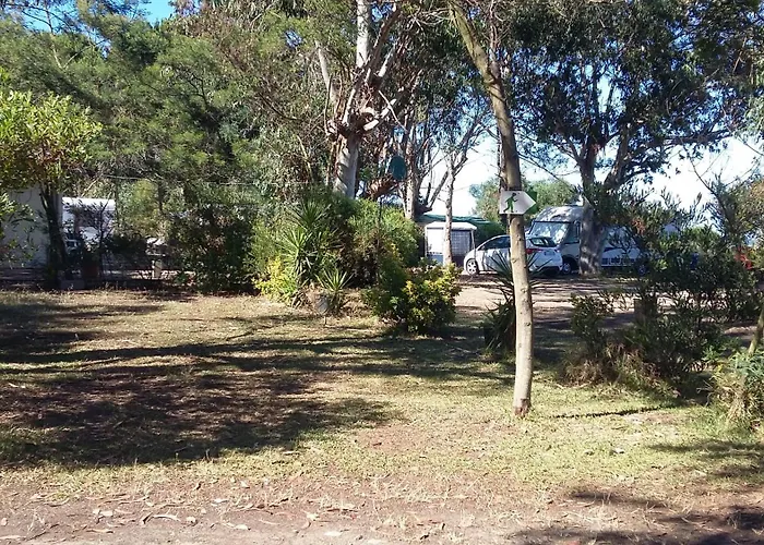 Europa Kamp alanı Castellare-di-Casinca